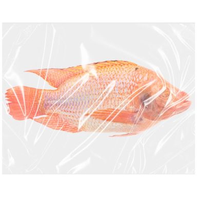 Tilapia Red - Bigi Mama 500/800 G/S IWP 1 x 4 kg.