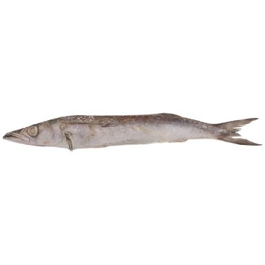Baracuda Fresh Frozen 1000-2000 gr. 10 kg.