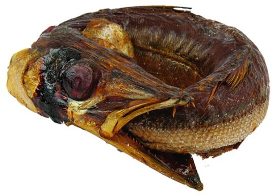 Baracuda Ring Smoked Box 5 kg.