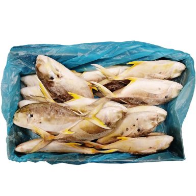 Trevally 300-800 gr. W/R 10 kg.